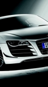 R8GT100004