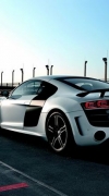 R8GT100011