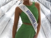 miss-bourgogne-2010-alice-dettolenaere