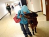 universite-poney-3