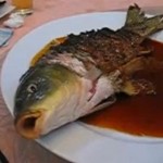 Ils mangent un poisson encore vivant (VIDEO)
