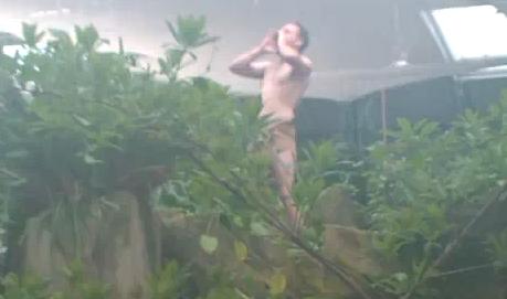 remi-gaillard-tarzan