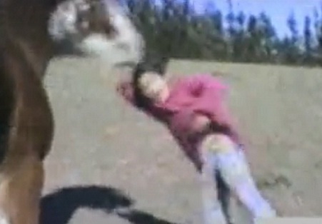 Un cheval se venge d’une petite fille qui le frappe (VIDEO)