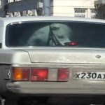 Un cheval ça rentre dans une voiture ?