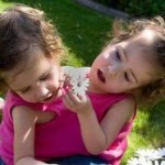 Deux fillettes, un coeur, laquelle doit vivre ?