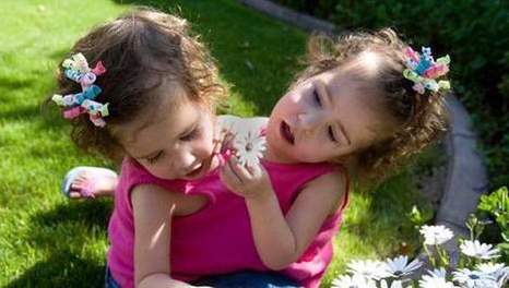 soeurs siamoises soeurs siamoises