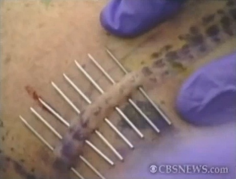 1200 piercings 1200 piercings