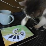 Un chat s&rsquo;éclate avec l&rsquo;iPad (VIDEO)