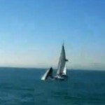 Une baleine attaque et détruit un voilier (VIDEO)