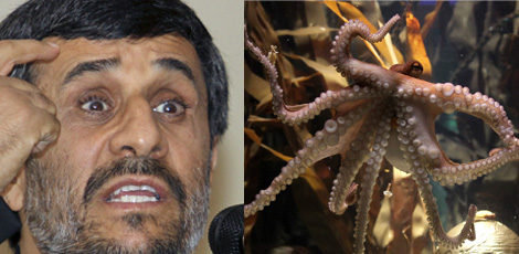 Mahmoud Ahmadinejad paul the octopus