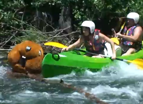 Rémi Gaillard en castor emmerde les kayakistes (VIDEO)