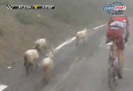 mouton tour de france 2010