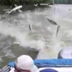 Ils se font attaquer par des carpes (VIDEO)