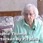 Un chat sauve sa maîtresse attaquée par 4 pitbulls !