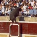 Espagne : un taureau charge dans les tribunes d&rsquo;une arène, 18 blessés (VIDEO)