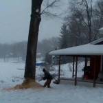 Régis abat un arbre … sur sa maison (VIDEO)
