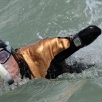 Amputé des quatre membres, il traverse la Manche à la nage (VIDEO)