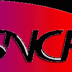 Une contrôleuse SNCF jetée d’un train par des pèlerins parce qu’elle était noire !