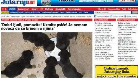 chiots jetés dans l'eau