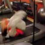 L&rsquo;homme qui rendrait jaloux Chuck Norris (VIDEO)
