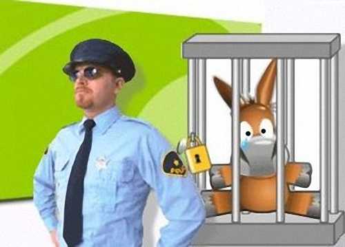 Téléchargements : la loi Hadopi est dépassée (VIDEO)