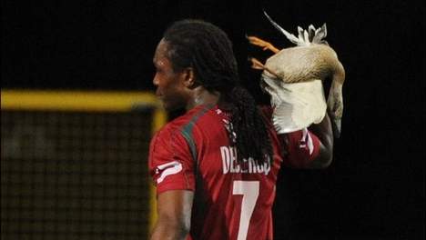 lancer canard habibou