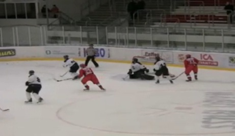 Hockey sur glace : Le but le plus insolite de l’année ? (VIDEO)