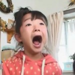 Pub de folie : le Happy Meal japonais (VIDEO)
