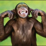 2 singes baissent le slip de bain d&rsquo;un homme sur la plage (VIDEO)