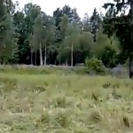 L&rsquo;art du camouflage (VIDEO)