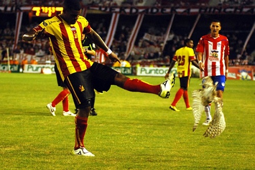 Choc : Un joueur shoote dans une chouette (VIDEO)