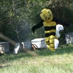 Rémi Gaillard – L&rsquo;abeille (VIDEO)