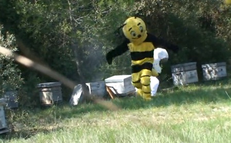 Rémi Gaillard – L’abeille (VIDEO)