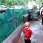 Enfant qui fait la course avec une loutre (VIDEO)