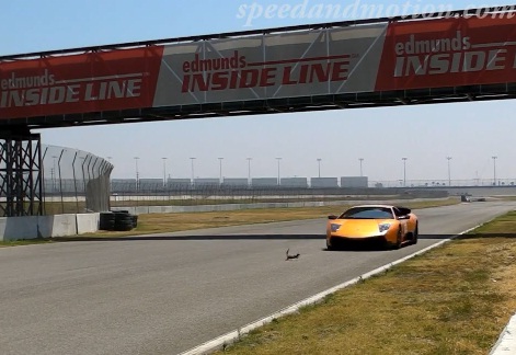 Ecureuil kamikaze qui passe sous une Lamborghini (VIDEO)