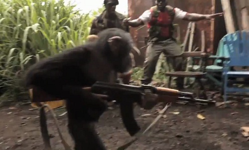 Un singe tire avec un AK-47 (VIDEO)