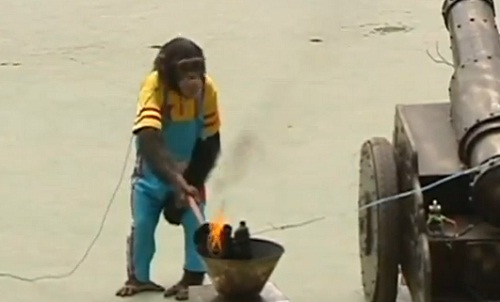 Chine : Les JO pour animaux (VIDEO)