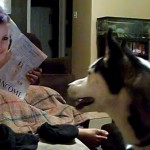 Chien effrayé par une photo de Julia Roberts (VIDEO)