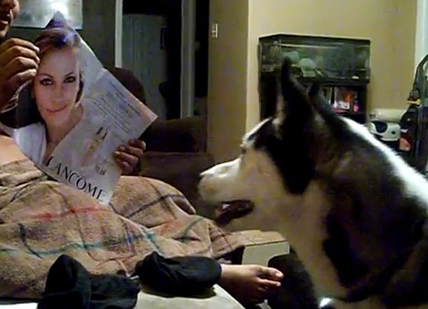 Chien effrayé par une photo de Julia Roberts (VIDEO)