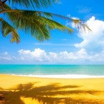 Top 10 des chansons les plus relaxantes du monde