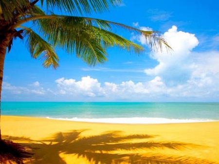 Top 10 des chansons les plus relaxantes du monde