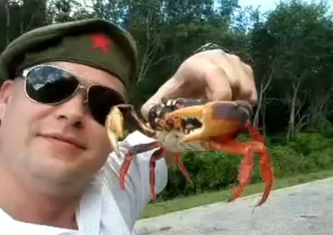 Les crabes, ça pince ! (VIDEO)