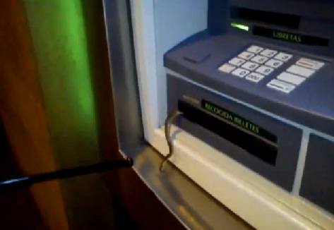 Un serpent sort dans un distributeur de billets (VIDEO)