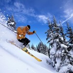 Un skieur évite un cerf en pleine descente (VIDEO)