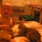 Enfant vs chat (VIDEO)