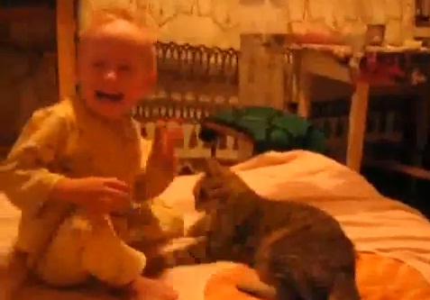 Enfant vs chat (VIDEO)