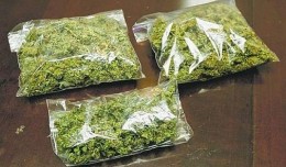 Cannabis