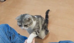 win luck 2011