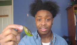 Chilli Challenge