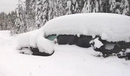 voiture sous neige